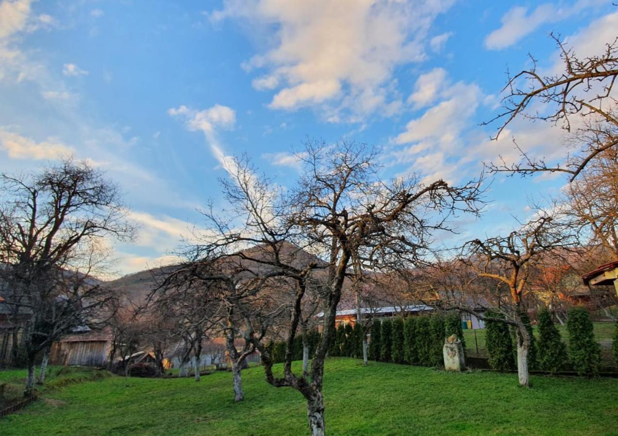 Casa Mea De Vacanta ไบอา-สปรี ภายนอก รูปภาพ
