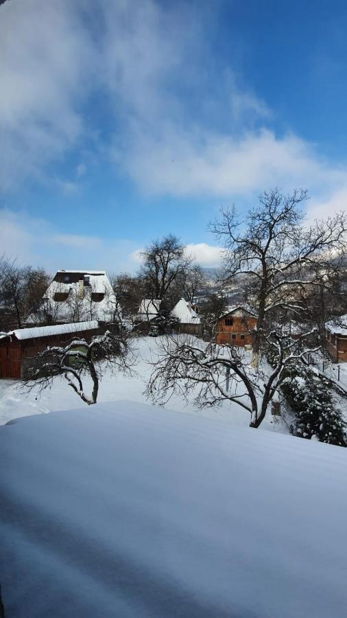 Casa Mea De Vacanta ไบอา-สปรี ภายนอก รูปภาพ