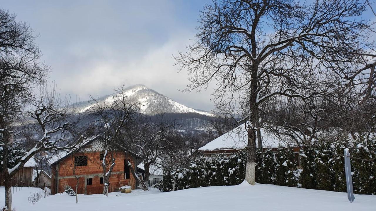 Casa Mea De Vacanta ไบอา-สปรี ภายนอก รูปภาพ